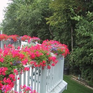 Meet your Posher, Judith